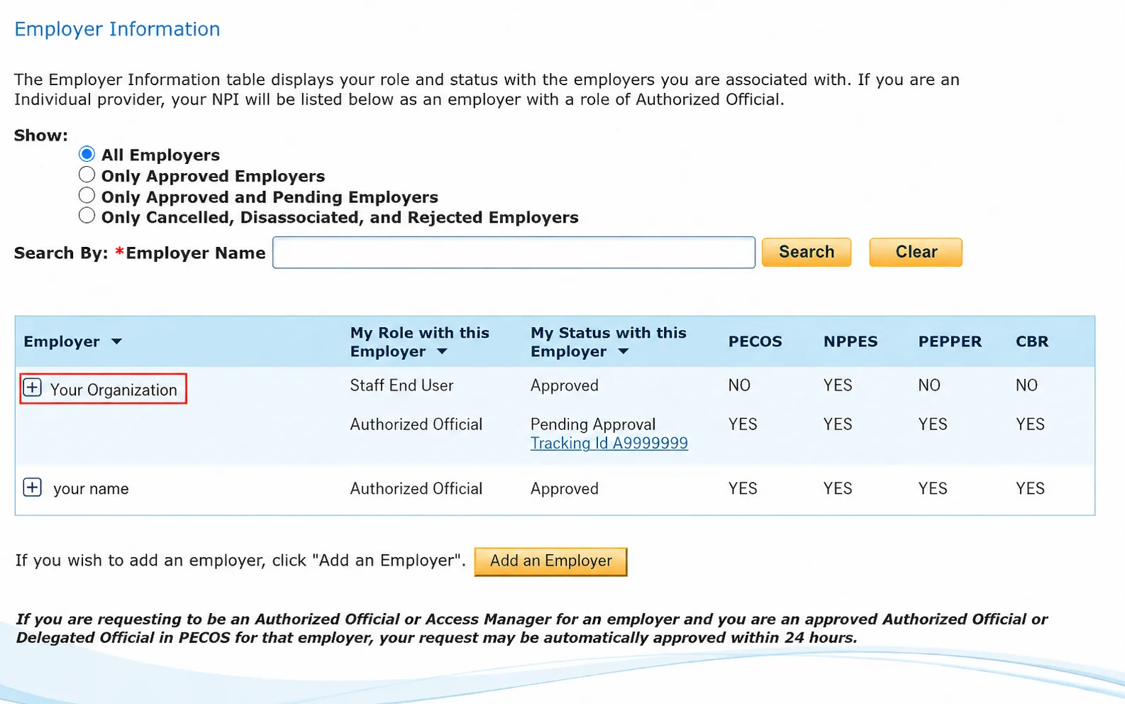 CMS I&A Employer Information table outlining the plus sign next to the practice organization while the individual provider appears on a separate row.